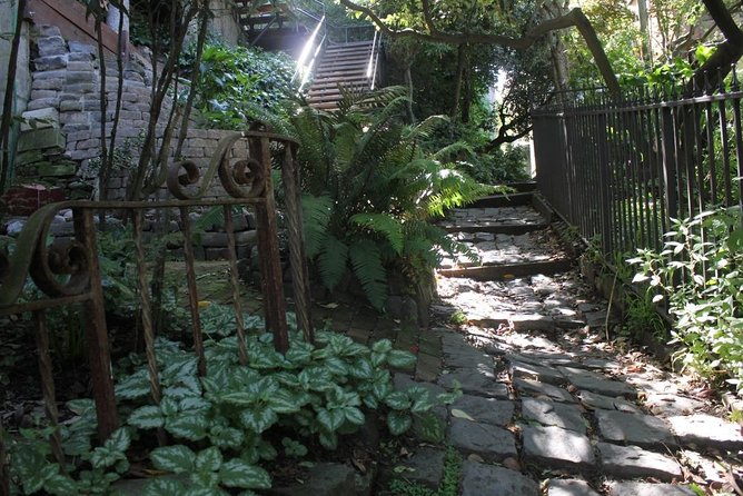 San Francisco Chinatown, Russian Hill, And North Beach Tour - Stop 5: North Beach, the Italian Enclave Vibe