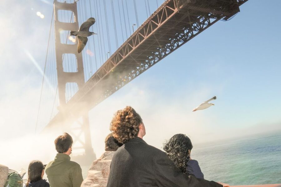 San Francisco: City Cruises Buffet Lunch or Dinner Cruise - Key Highlights You’ll Actually Feel Onboard