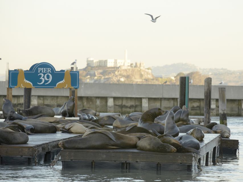 San Francisco CityPASS®: Save 46% at 4 Top Attractions - San Francisco CityPASS® at a glance: what $89 really buys