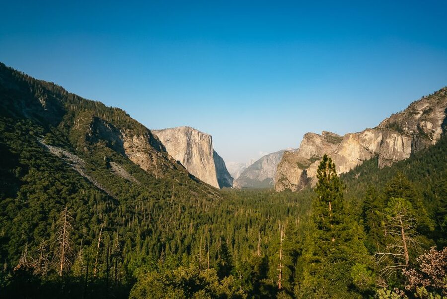 San Francisco: Day Trip to Yosemite with Giant Sequoias Hike - The early start: logistics that actually matter for enjoying Yosemite