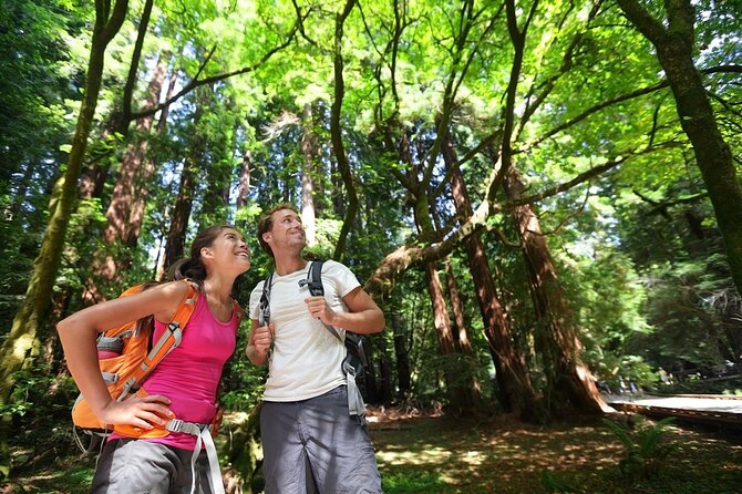 San Francisco: Full Day Coastal Redwoods & Wine Country Tour - Korbel Champagne Cellars: The Tasting Hour That Teaches You Something