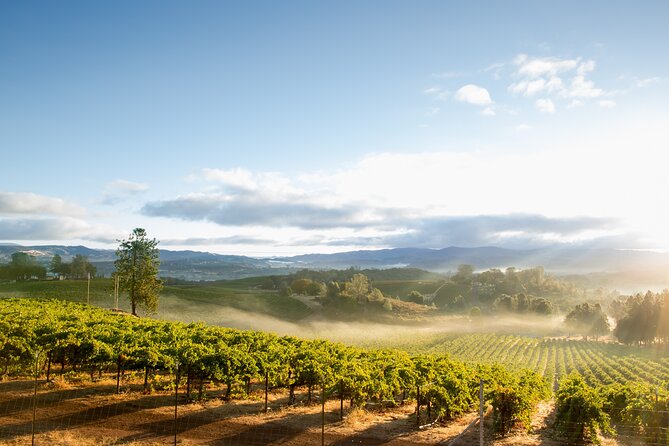 San Francisco: Full Day Coastal Redwoods & Wine Country Tour - The Small-Group Difference: How Your Day Feels More Personal