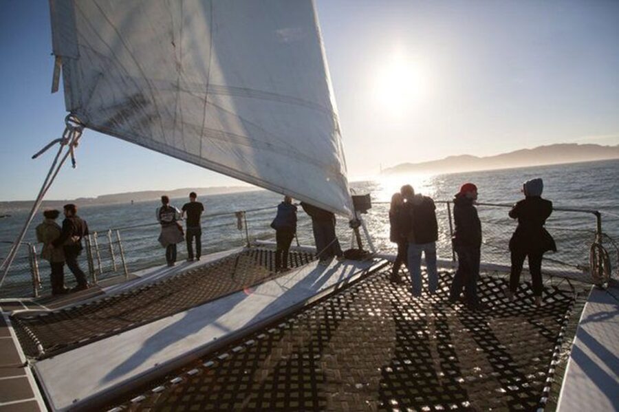 San Francisco: Golden Gate Bridge Catamaran Cruise - Sea lions and wildlife spotting: how to actually watch