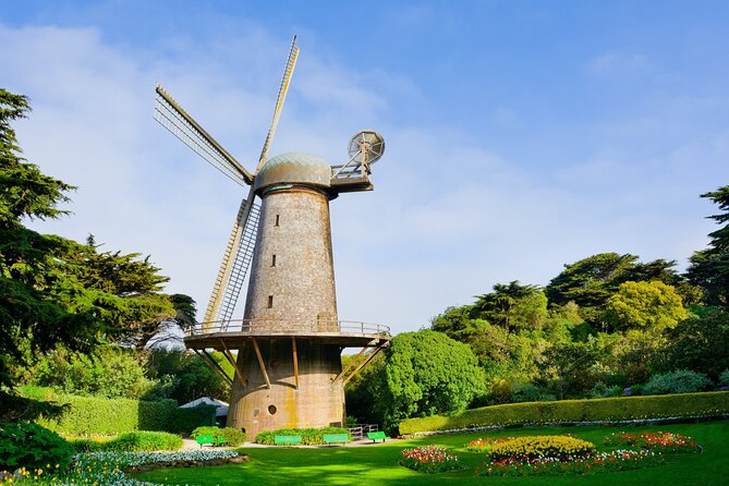 San Francisco Golden Gate Park Tour - Entering The Park: Why This Haight-to-Ocean Beach Walk Feels Different