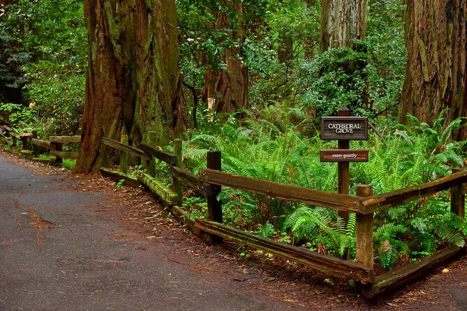 San Francisco, Golden Gate, Sausalito and Muir Woods Private Tour - How this 8-hour private route works (and why it matters)