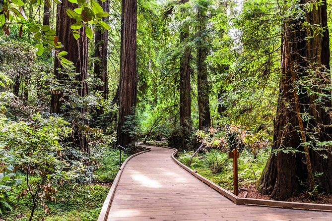 San Francisco, Golden Gate, Sausalito and Muir Woods Private Tour - Palace of Fine Arts, Lyon Street Steps, Mrs Doubtfire House, Painted Ladies: iconic SF in short bursts