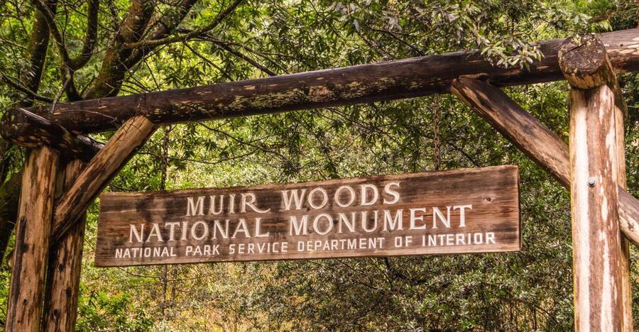 San Francisco Golden Gate Sausalito Muir Woods Private Tour - Ocean Beach and Lands End for dramatic coastline hours