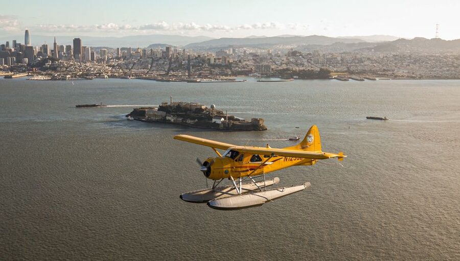 San Francisco: Greater Bay Area Seaplane Tour - Muir Woods aerial view: redwoods with real scale