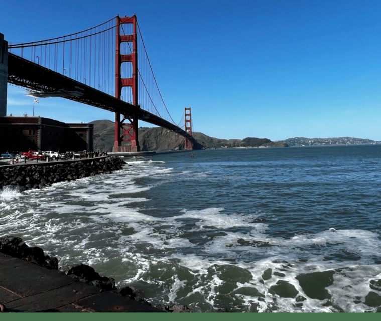 San Francisco: Guided Half-Day Group City Tour - Pier 39 sea lions and the Marina walk: where the tour slows down