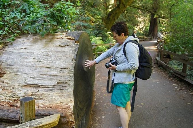 San Francisco: Guided Muir Woods Tour & Hop-on Hop-off Bus Tour - Panoramic Sunset Tour: Build the Golden Hour into Your Day