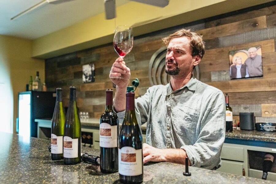 San Francisco: Half-Day Wine Country Excursion with Tastings - Key things I’d circle on your itinerary