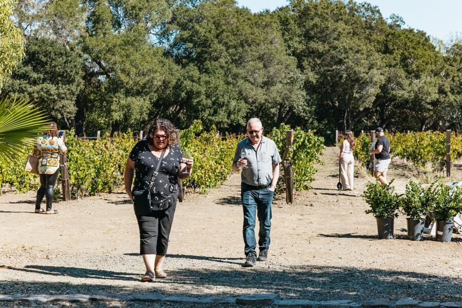 San Francisco: Half-Day Wine Country Excursion with Tastings - Winery names can vary, but the style stays consistent