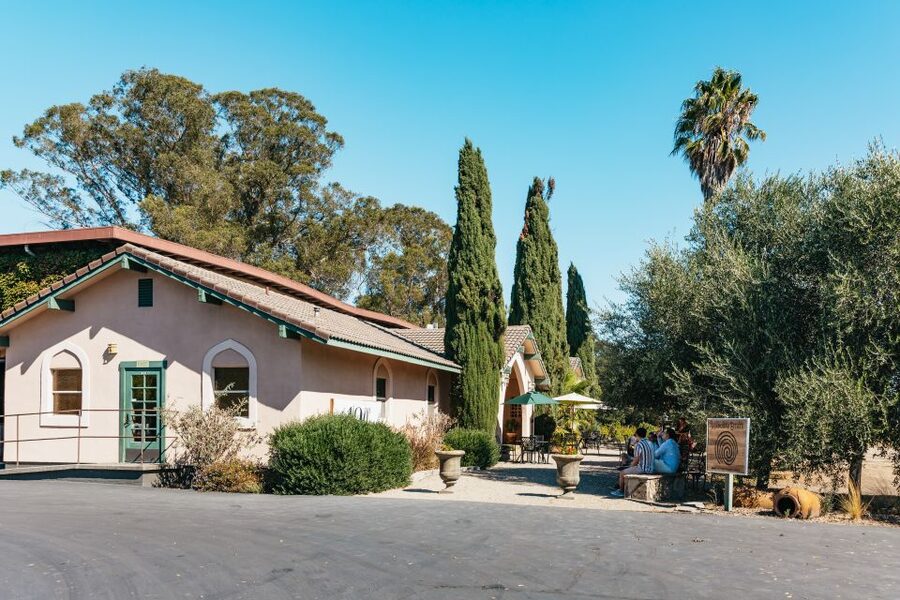 San Francisco: Half-Day Wine Country Excursion with Tastings - A half-day that feels like a real California detour