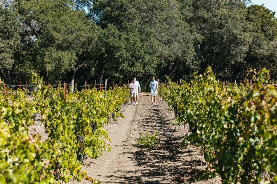 San Francisco: Half-Day Wine Country Excursion with Tastings - Pacing, group size, and the bus ride reality check