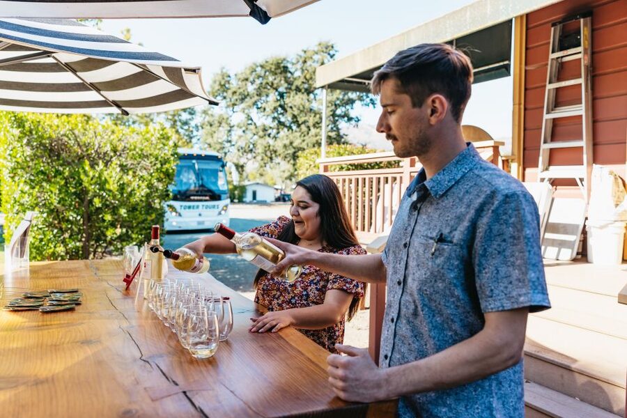 San Francisco: Half-Day Wine Country Excursion with Tastings - The optional add-ons: Big Bus, Chinatown, and a sunset loop
