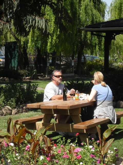San Francisco: Half-Day Wine Country Tour with Wine Tastings - Key things to know before you go
