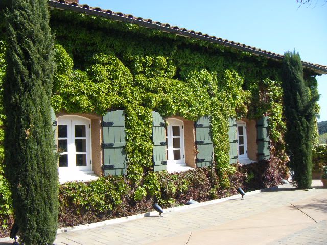 San Francisco: Half-Day Wine Country Tour with Wine Tastings - Getting From Fisherman’s Wharf to Wine Country Without Driving