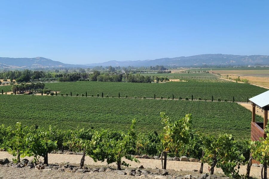 San Francisco: Half-Day Wine Tour with 2 Tastings Included - Key Things to Know Before You Go