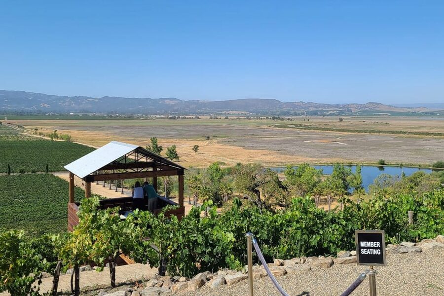 San Francisco: Half-Day Wine Tour with 2 Tastings Included - Guide Quality Can Make or Break the Experience