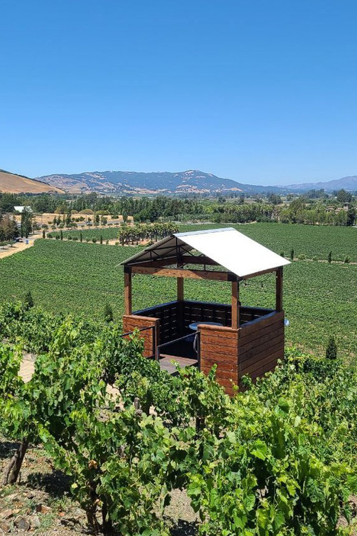 San Francisco: Half-Day Wine Tour with 2 Tastings Included - San Francisco to Sonoma Valley in Half a Day