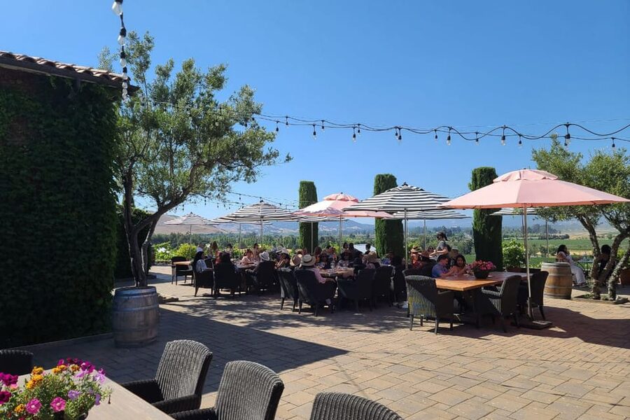 San Francisco: Half-Day Wine Tour with 2 Tastings Included - What You Learn: Wine County History Meets Tasting Time