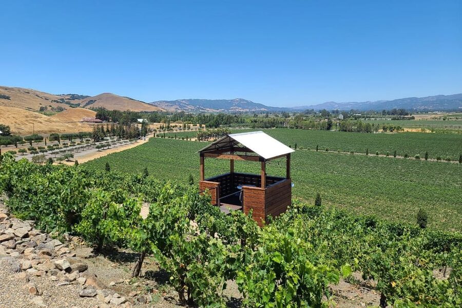 San Francisco: Half-Day Wine Tour with 2 Tastings Included - Pace, Group Size, and How the Day Actually Feels