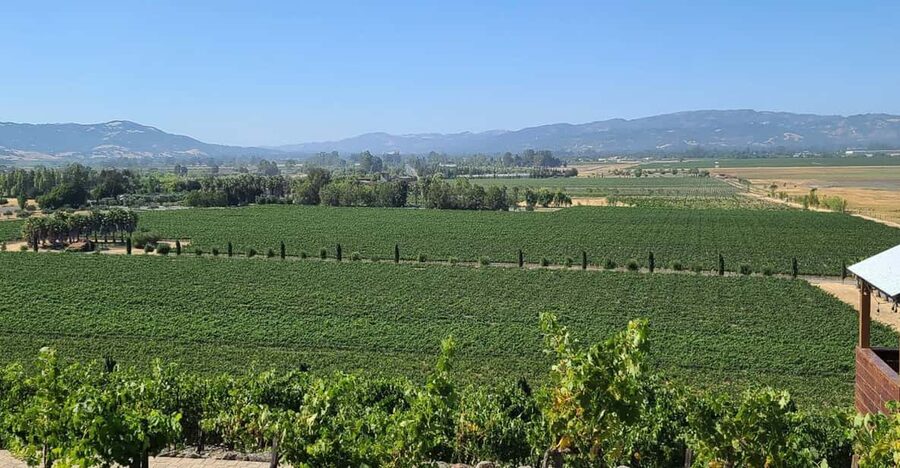 San Francisco: Half-Day Wine Tour with 2 Tastings Included - Marin County Vista Point: The Bay View Stops