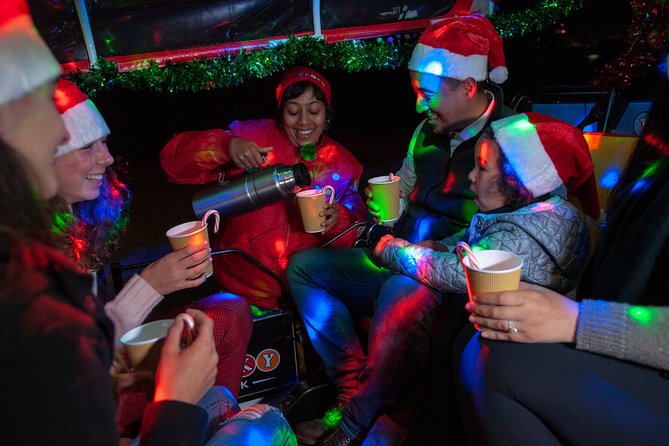 San Francisco Holiday Season Private Tour - Lucky Tuk Tuk - What You’re Really Buying: A Private Holiday Ride, Not a Bus Tour