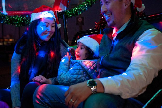 San Francisco Holiday Season Private Tour - Lucky Tuk Tuk - Nob Hill and the Fairmont Gingerbread House: The One Stop With Real Wow-Time