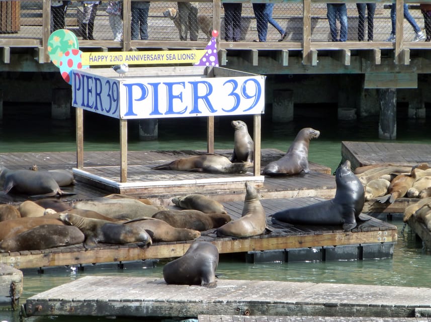San Francisco: Hop-On Hop-Off City Bus Tour and Bay Cruise - Live narration, audio languages, and how to enjoy it without fighting the headset