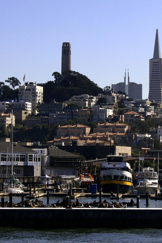San Francisco: Hop-On Hop-Off City Bus Tour and Bay Cruise - Who this tour suits best (and who might want something else)