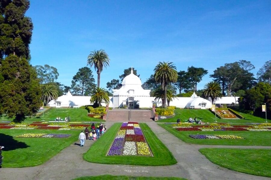 San Francisco: Hop-On Hop-Off Tour with Optional Night Tour - Palace of Fine Arts and Haight-Ashbury: Art and the Summer of Love