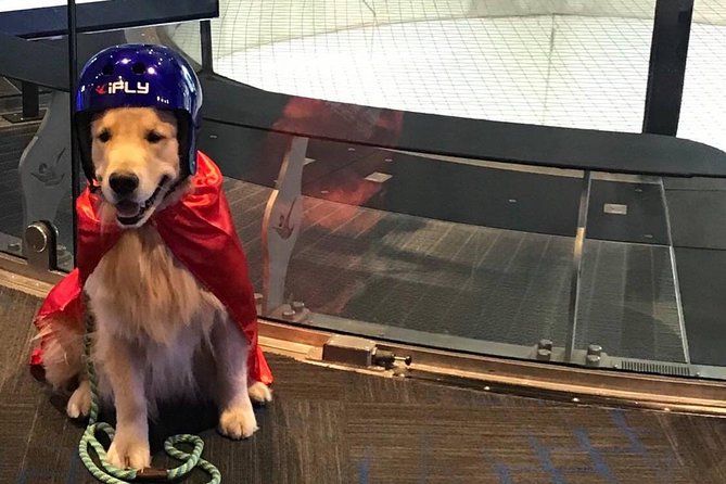 San Francisco Indoor Skydiving with 2 Flights & Personalized Certificate - Choosing your comfort level: instructor options and fun moments