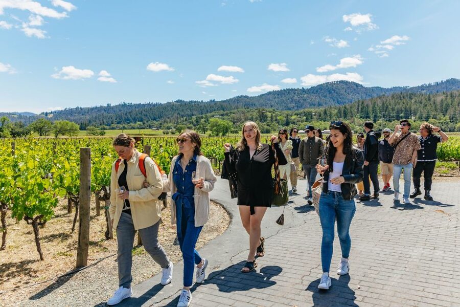 San Francisco: Luxury Small-Group Wine Tour of Napa Valley - Ru Vango in Carneros AVA: art inside the tasting room and cooler-climate grapes