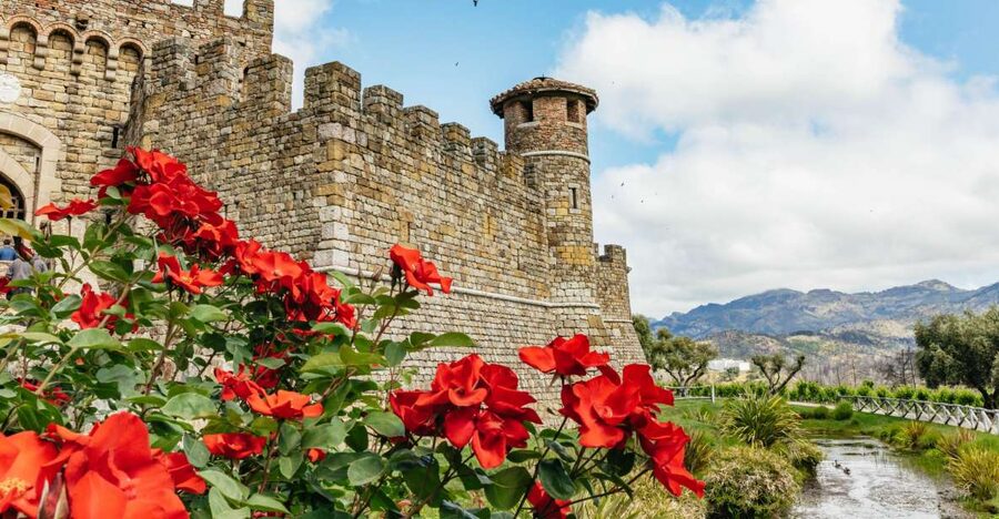 San Francisco: Luxury Small-Group Wine Tour of Napa Valley - Castello di Amorosa: the medieval-style winery that turns tasting into sightseeing