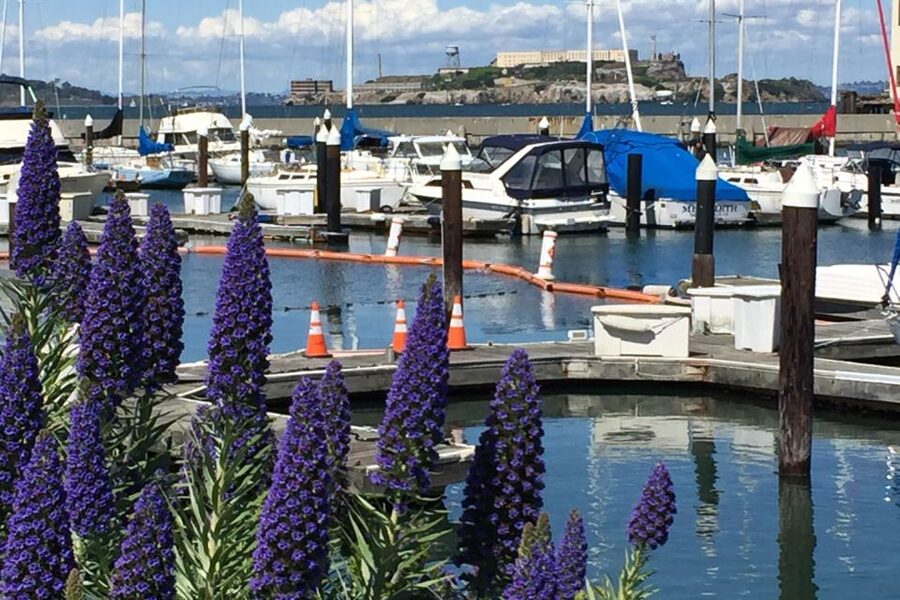 San Francisco: Major Landmarks Private Sightseeing Tour - What’s Included (and What You Should Plan for)