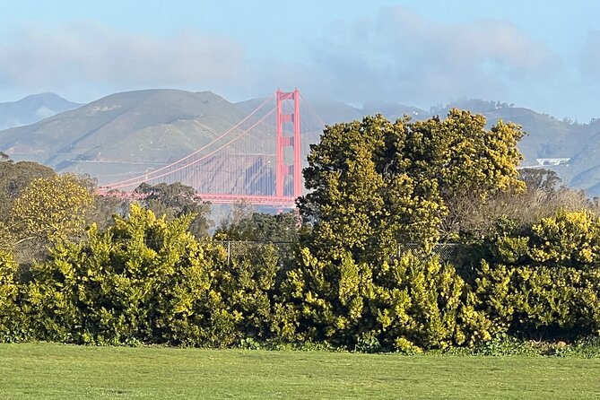 San Francisco: Major Landmarks Private Sightseeing Tour - Twin Peaks and Big Views, When You Want the SF Scale