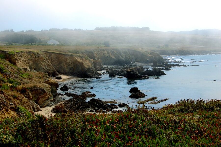 San Francisco: Monterey and Carmel Day Tour - Should you book this day tour?