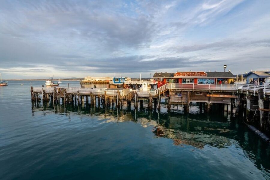 San Francisco: Monterey and Carmel Day Tour - Davenport stop and the Monterey Bay Marine Sanctuary vibe