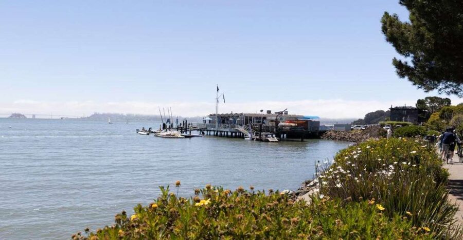San Francisco: Muir Woods and Sausalito Entry Fee Included - Sausalito in one hour: art, cafes, and bay views without overplanning