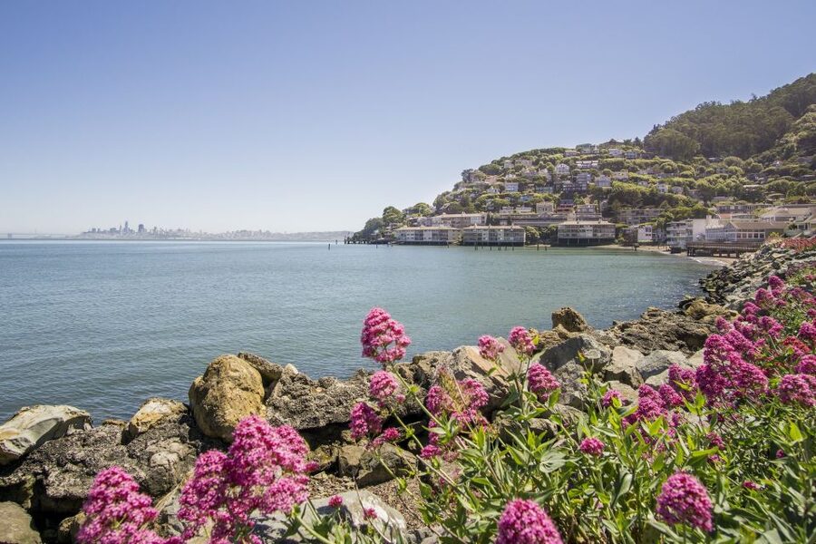 San Francisco: Muir Woods and Sausalito Experience - How the Day Starts: Fisherman’s Wharf to a Ready-for-Views Minibus