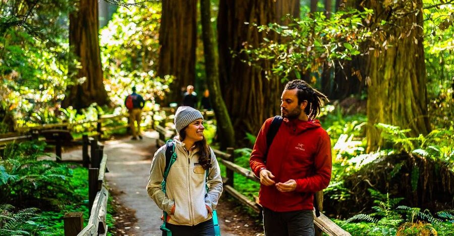 San Francisco: Muir Woods and Sausalito Half-Day Trip - Key highlights at a glance