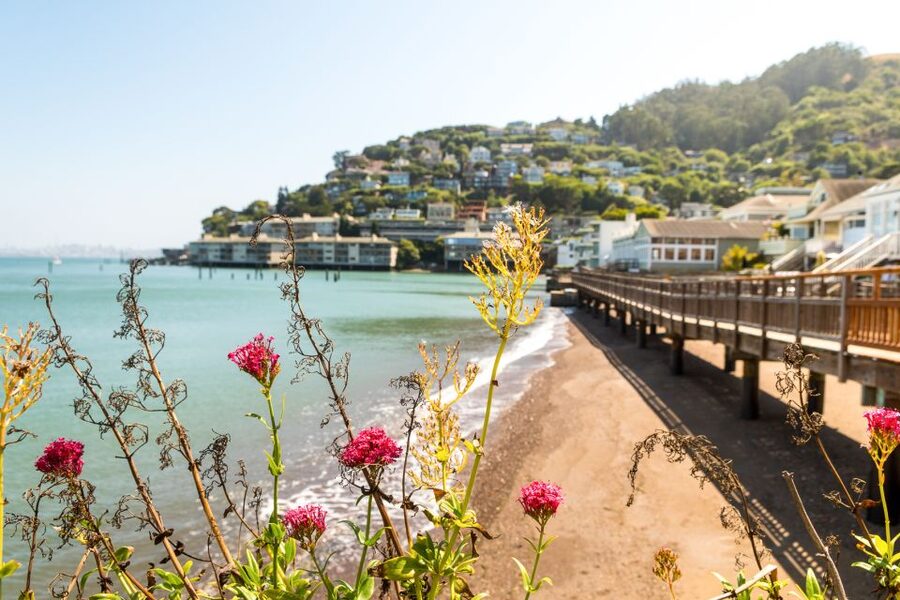 San Francisco: Muir Woods and Sausalito Half-Day Trip - Walking tips so you get the most from Muir Woods