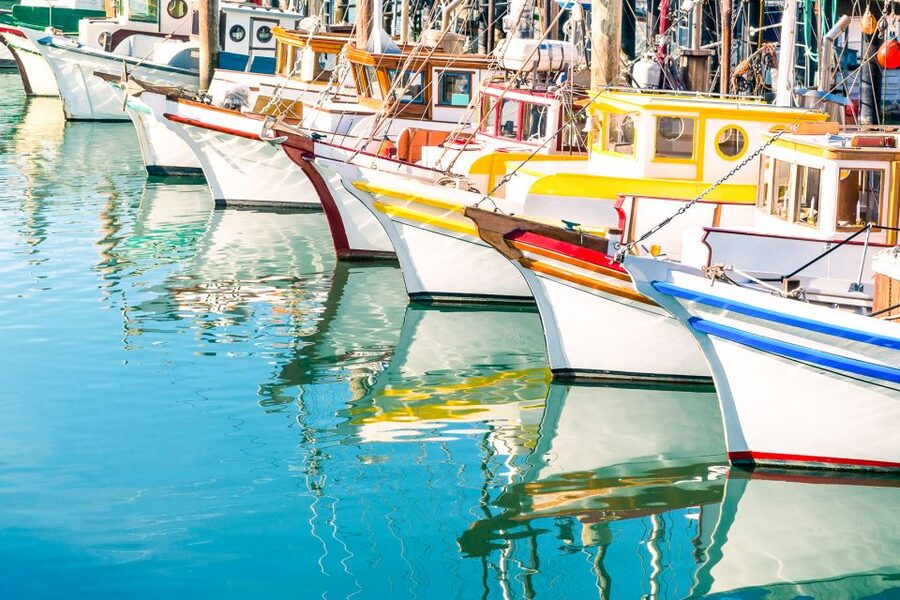 San Francisco: Muir Woods and Sausalito Half-Day Trip - Sausalito’s 45 minutes: ocean views with small-town momentum