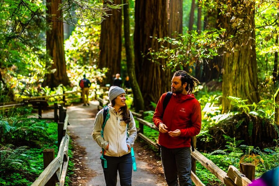 San Francisco: Muir Woods and Sausalito Half-Day Trip - Price and value: what $95 gets you (and what it doesn’t)