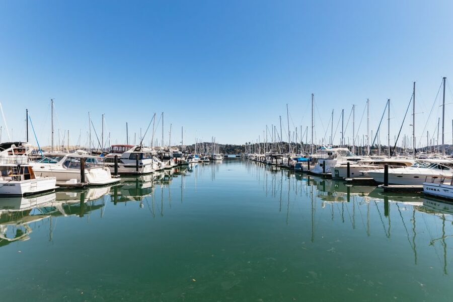 San Francisco: Muir Woods and Sausalito Small-Group Tour - Key Highlights You’ll Actually Feel