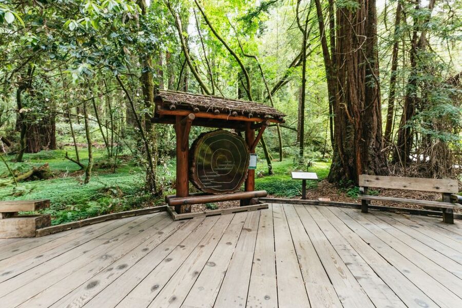 San Francisco: Muir Woods and Sausalito Small-Group Tour - Golden Gate Bridge to Redwood Giants: Why This 5-Hour Loop Feels Worth It