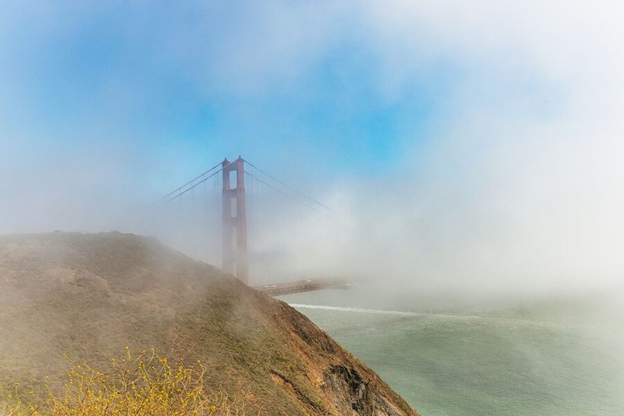 San Francisco: Muir Woods and Sausalito Small-Group Tour - Price and Value: What $99 Really Buys You