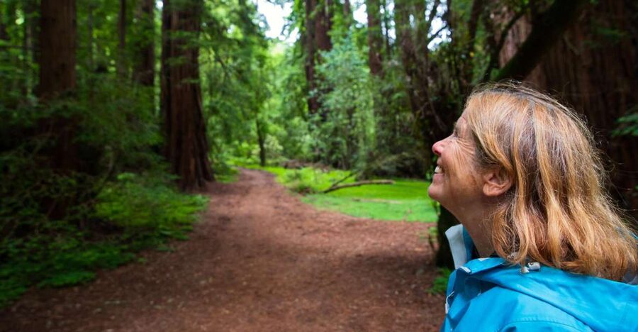 San Francisco: Muir Woods and Sausalito Tour with Admission - Key Tour Takeaways