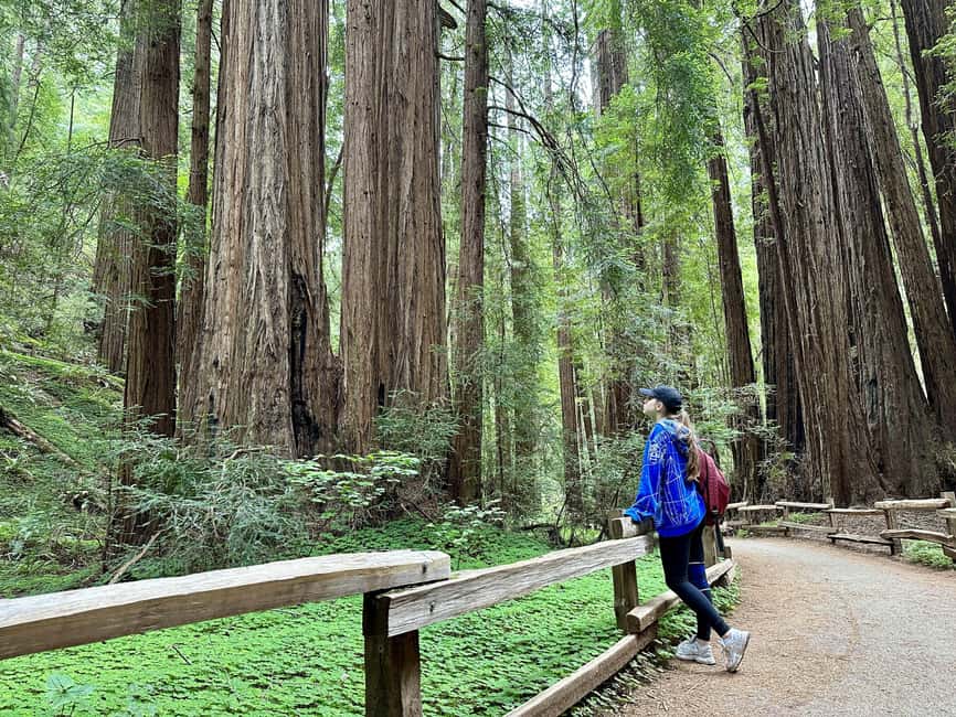 San Francisco: Muir Woods and Sausalito Tour with Admission - Ferry Back to San Francisco: A Great Option If You Want Scenic, Not Strict